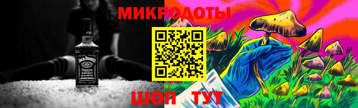 Псилоцибиновые грибы Cubensis Киселёвск