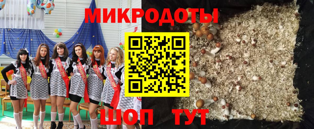 Киселёвск  Псилоцибиновые грибы мицелий  Вход с VPN 